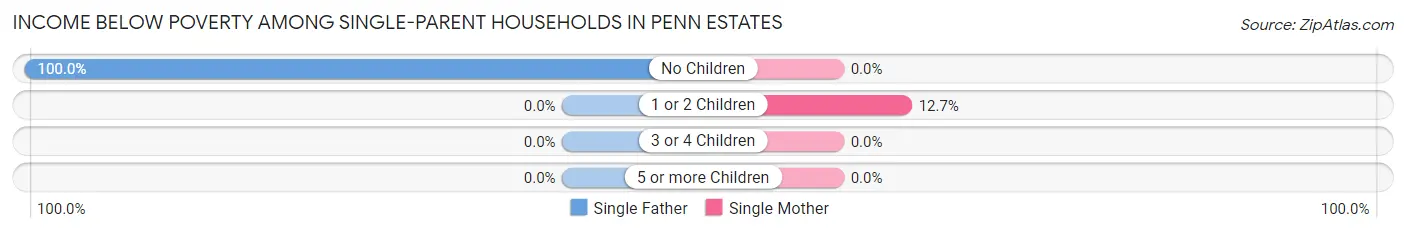 Income Below Poverty Among Single-Parent Households in Penn Estates