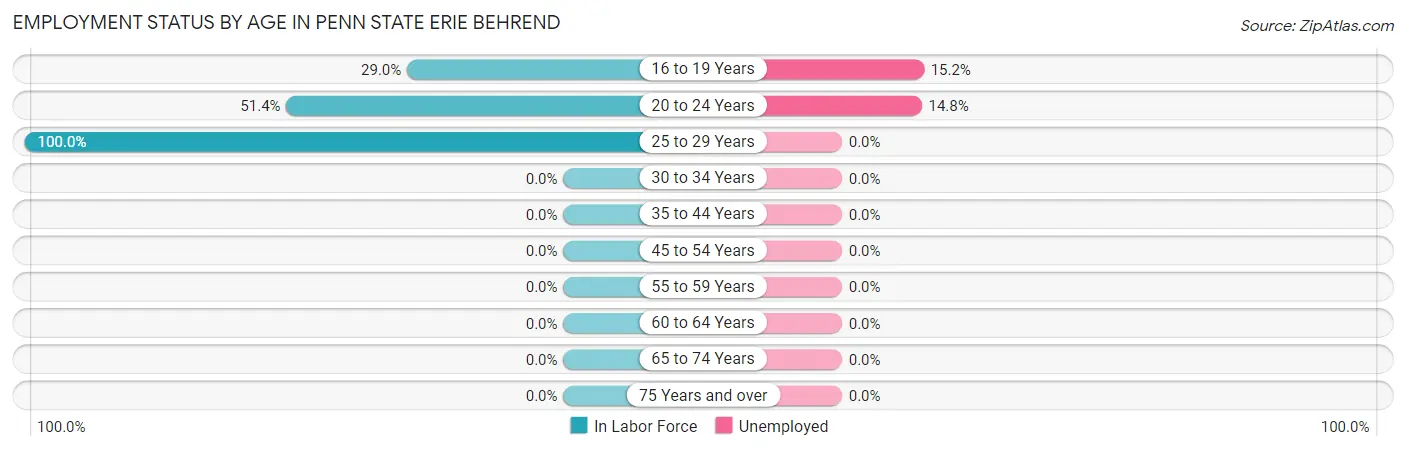 Employment Status by Age in Penn State Erie Behrend