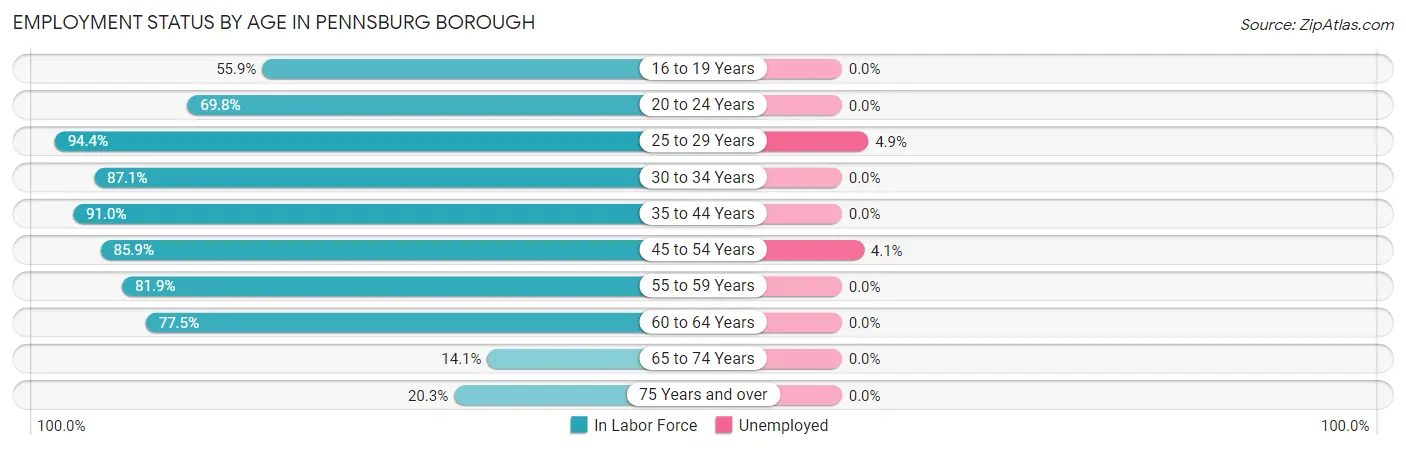Employment Status by Age in Pennsburg borough