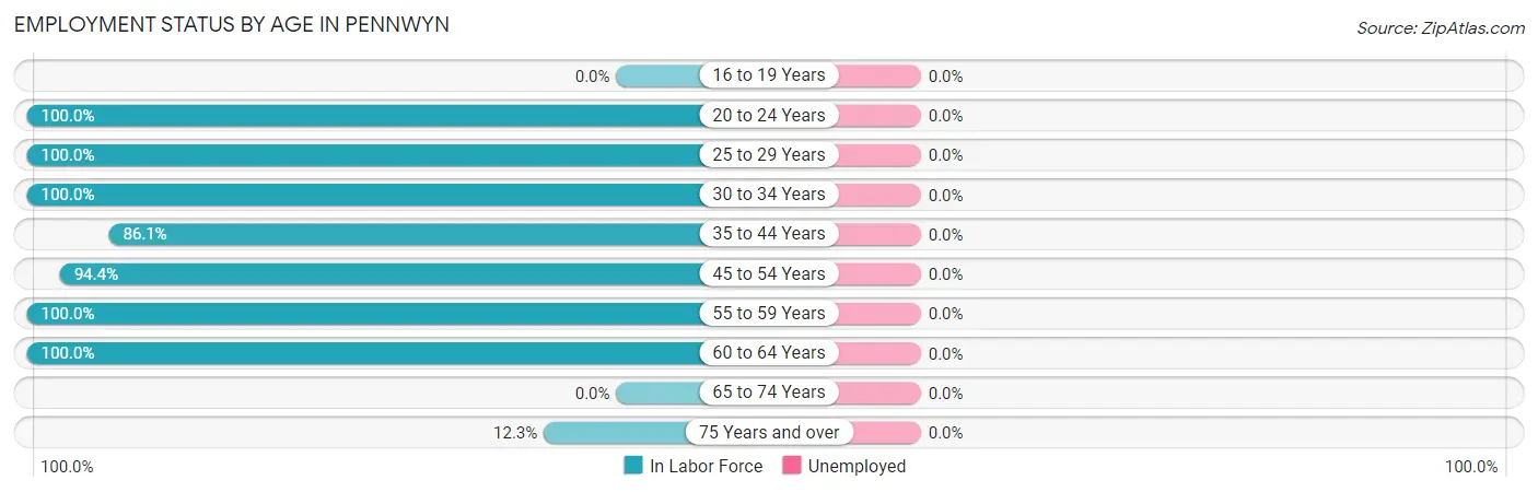 Employment Status by Age in Pennwyn