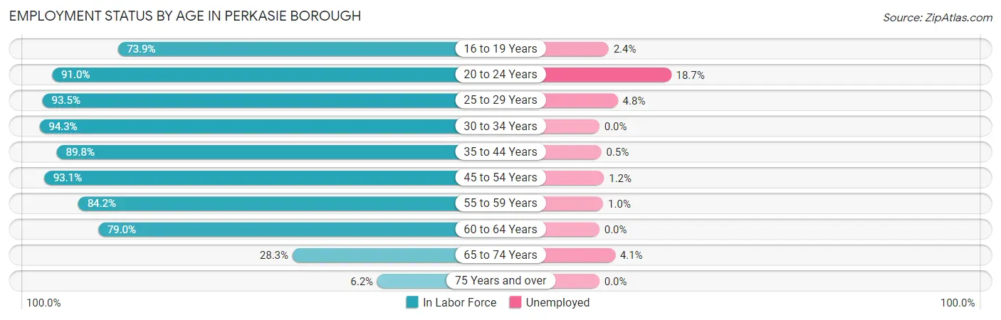 Employment Status by Age in Perkasie borough