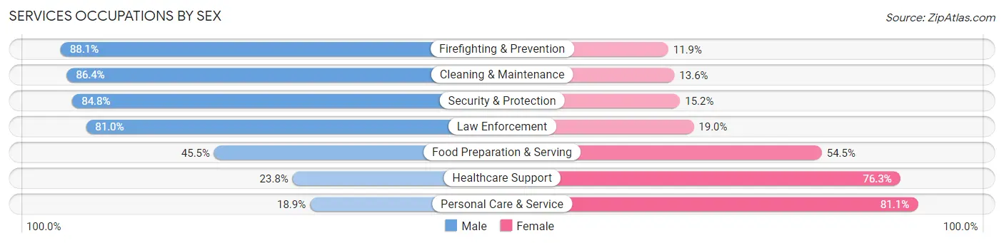 Services Occupations by Sex in Perkasie borough