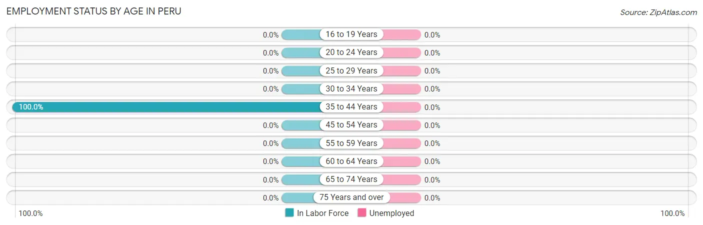 Employment Status by Age in Peru
