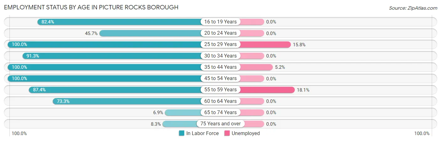 Employment Status by Age in Picture Rocks borough