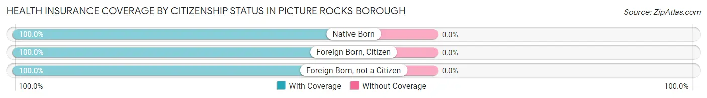 Health Insurance Coverage by Citizenship Status in Picture Rocks borough
