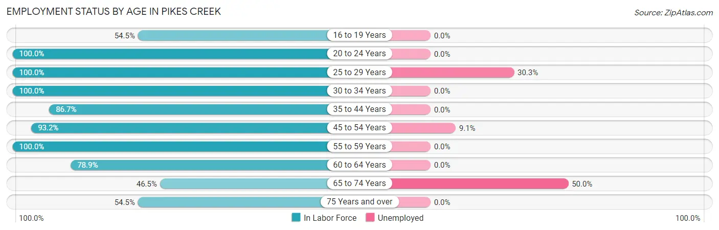 Employment Status by Age in Pikes Creek
