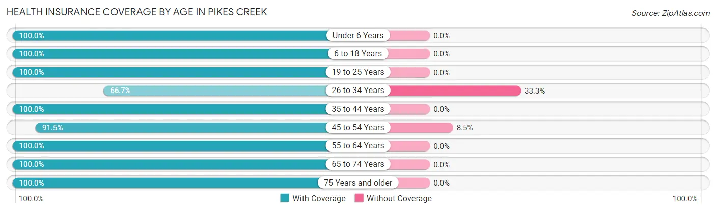 Health Insurance Coverage by Age in Pikes Creek