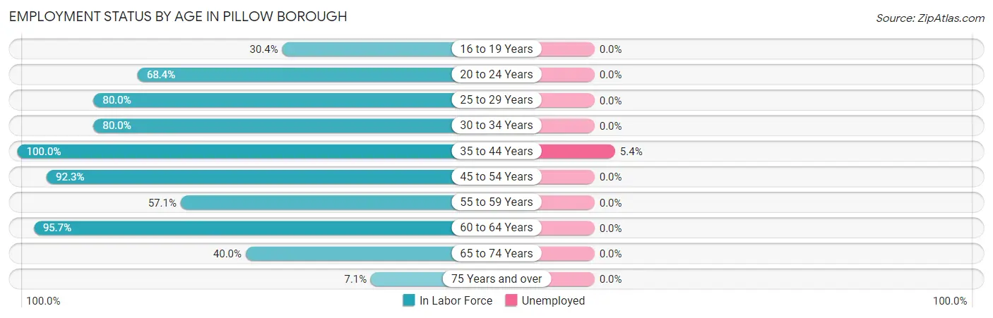 Employment Status by Age in Pillow borough