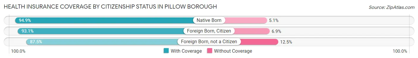 Health Insurance Coverage by Citizenship Status in Pillow borough
