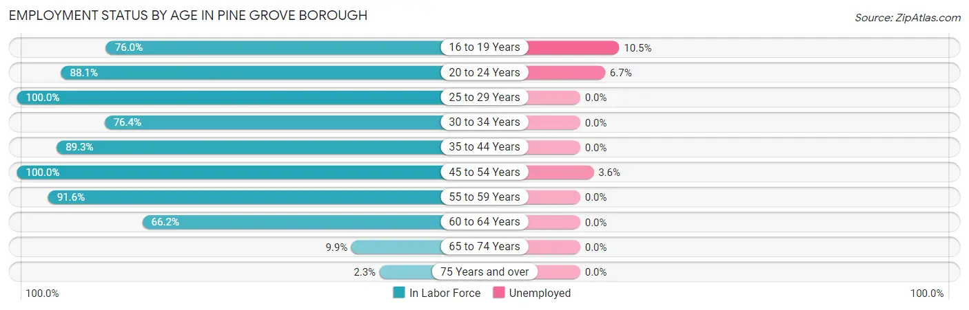 Employment Status by Age in Pine Grove borough