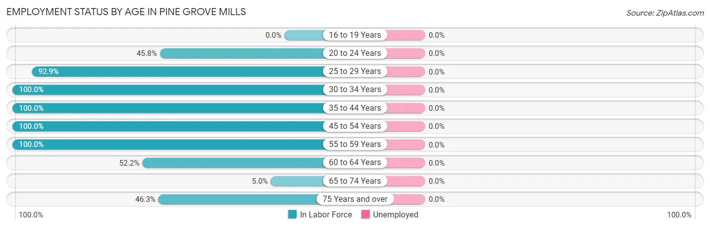 Employment Status by Age in Pine Grove Mills
