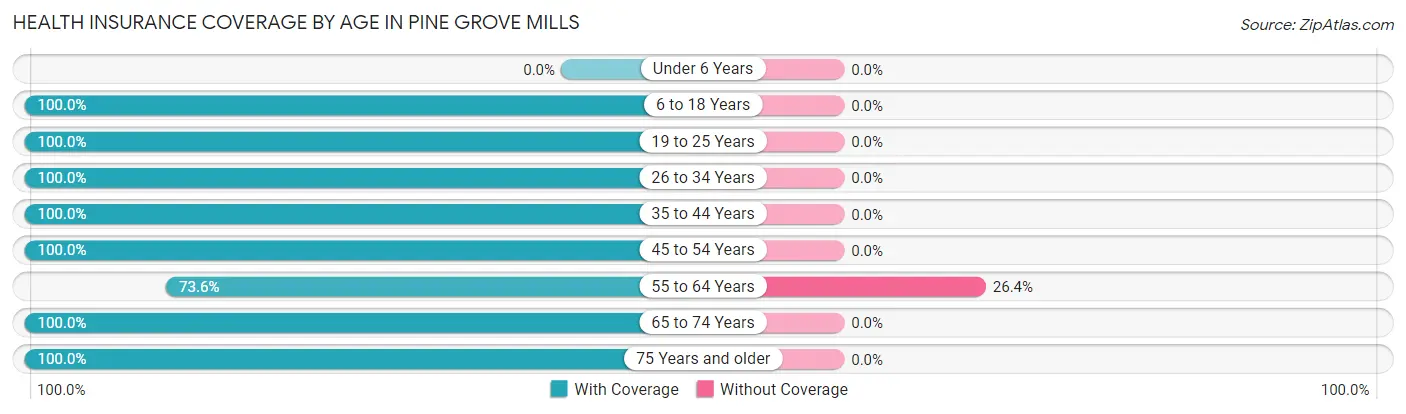 Health Insurance Coverage by Age in Pine Grove Mills