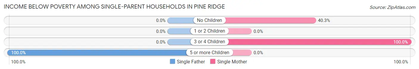 Income Below Poverty Among Single-Parent Households in Pine Ridge