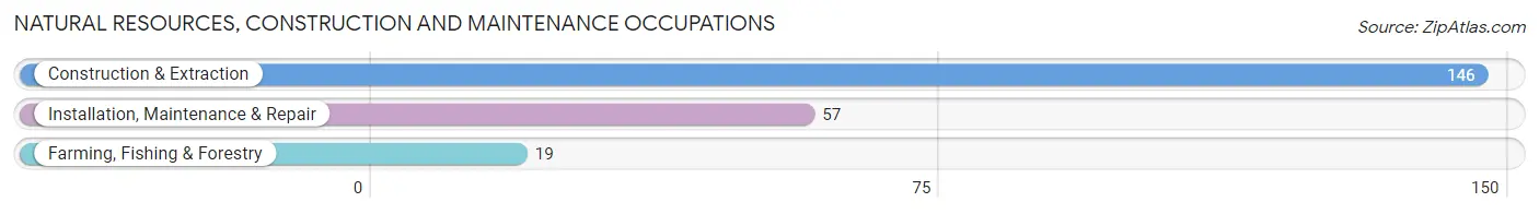 Natural Resources, Construction and Maintenance Occupations in Pleasant Hills borough