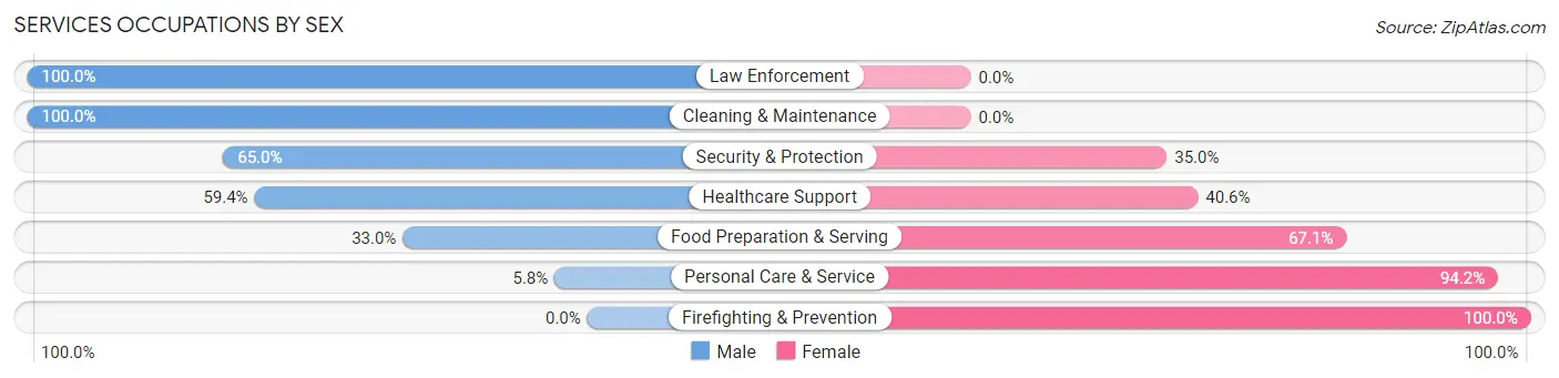 Services Occupations by Sex in Pleasant Hills borough