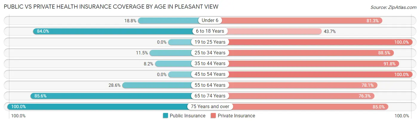 Public vs Private Health Insurance Coverage by Age in Pleasant View