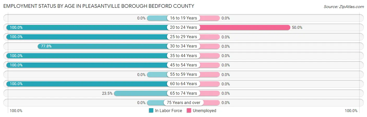 Employment Status by Age in Pleasantville borough Bedford County