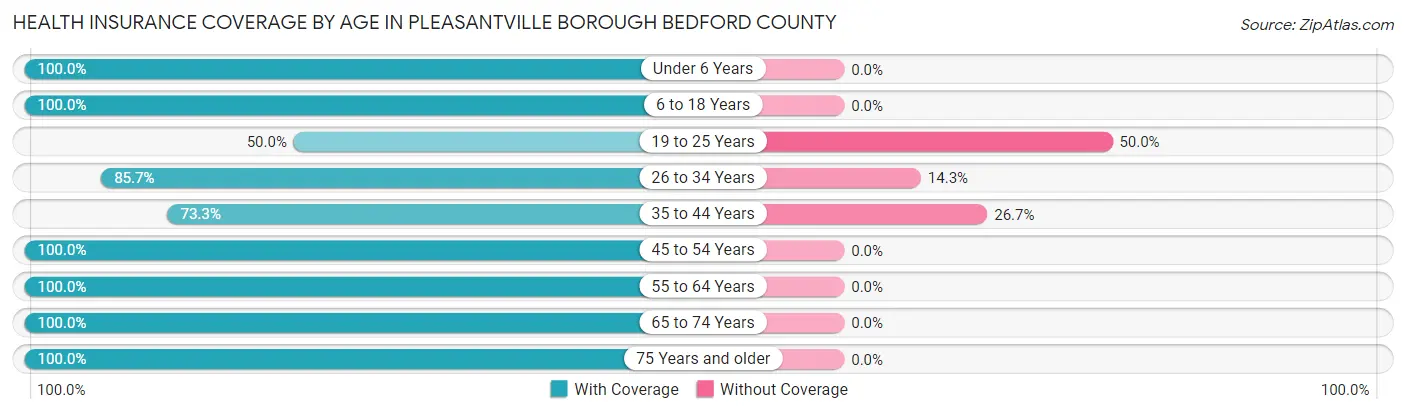 Health Insurance Coverage by Age in Pleasantville borough Bedford County