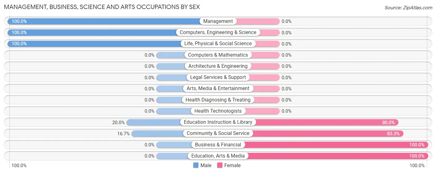 Management, Business, Science and Arts Occupations by Sex in Pleasantville borough Bedford County