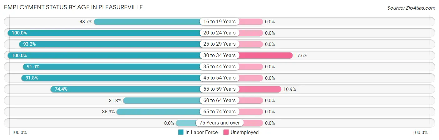 Employment Status by Age in Pleasureville