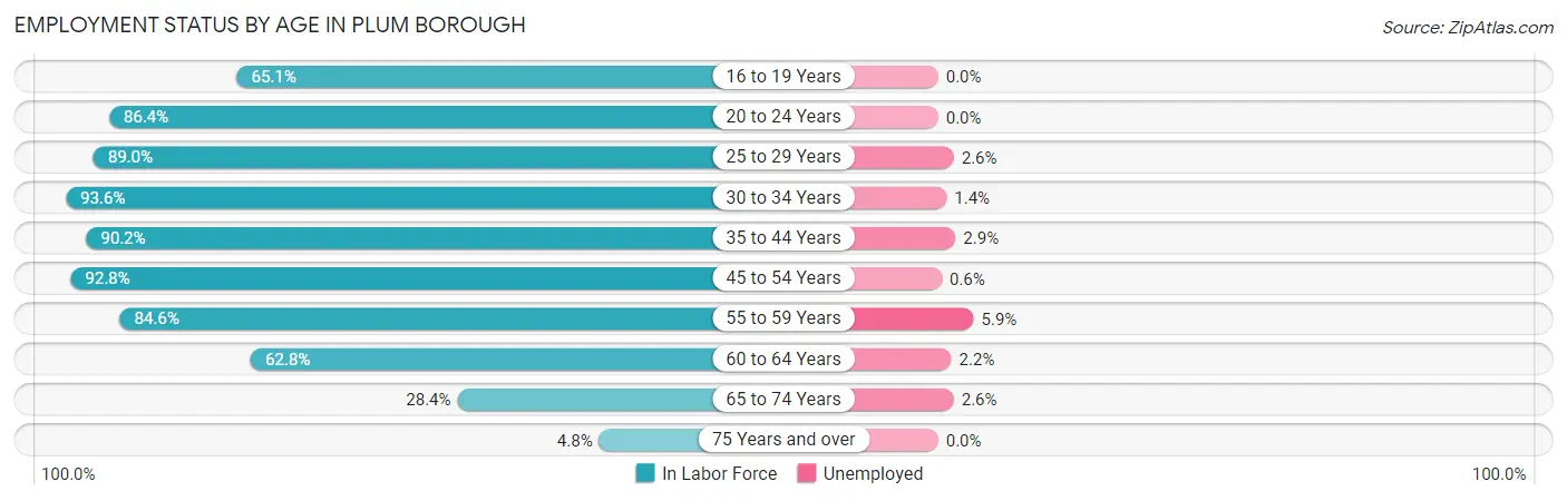 Employment Status by Age in Plum borough