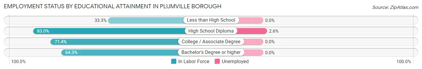 Employment Status by Educational Attainment in Plumville borough