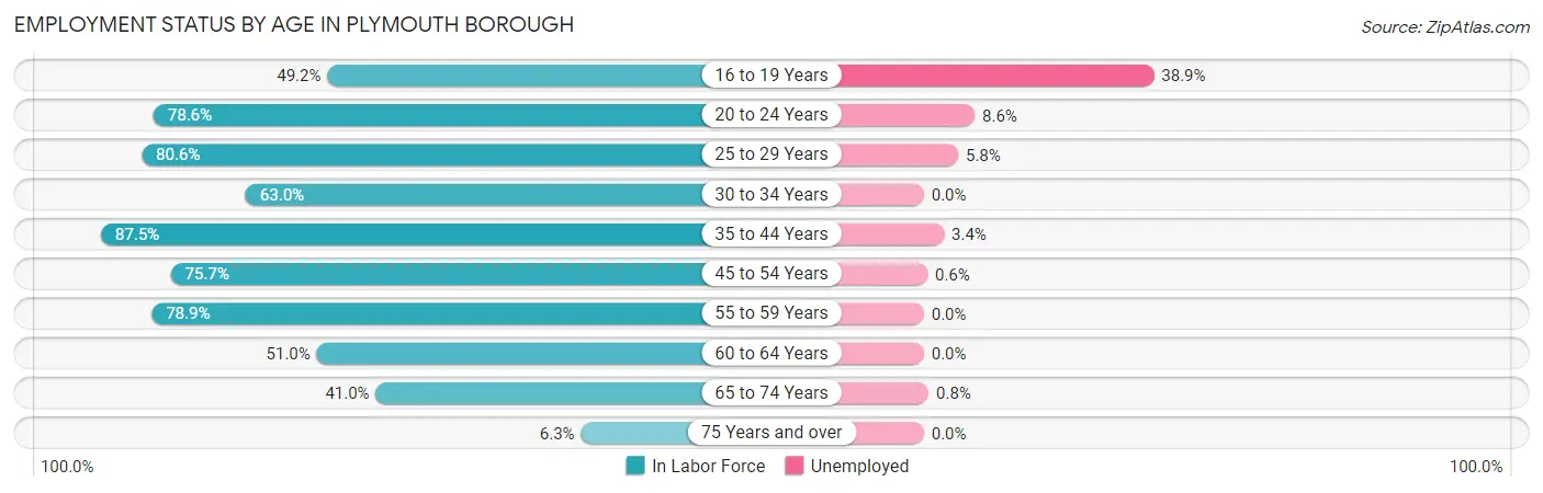 Employment Status by Age in Plymouth borough