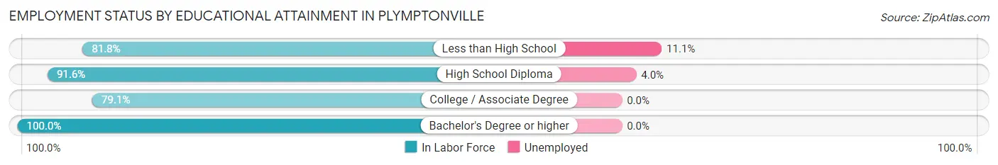 Employment Status by Educational Attainment in Plymptonville