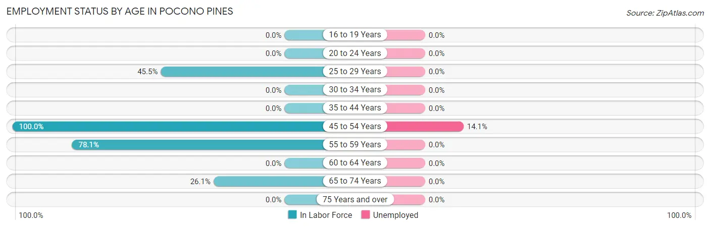 Employment Status by Age in Pocono Pines