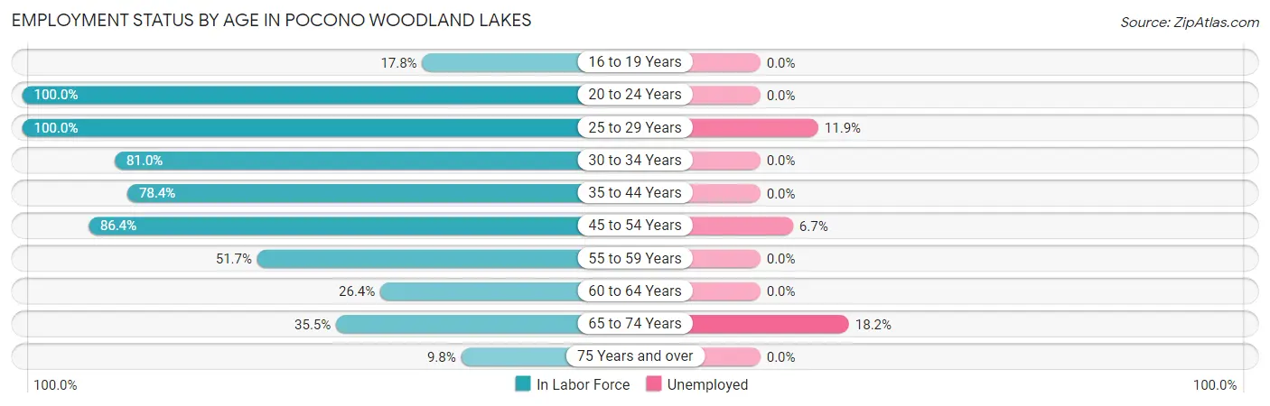 Employment Status by Age in Pocono Woodland Lakes