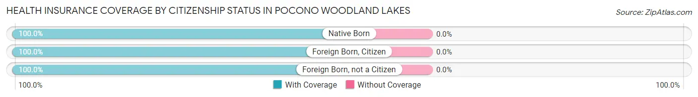 Health Insurance Coverage by Citizenship Status in Pocono Woodland Lakes