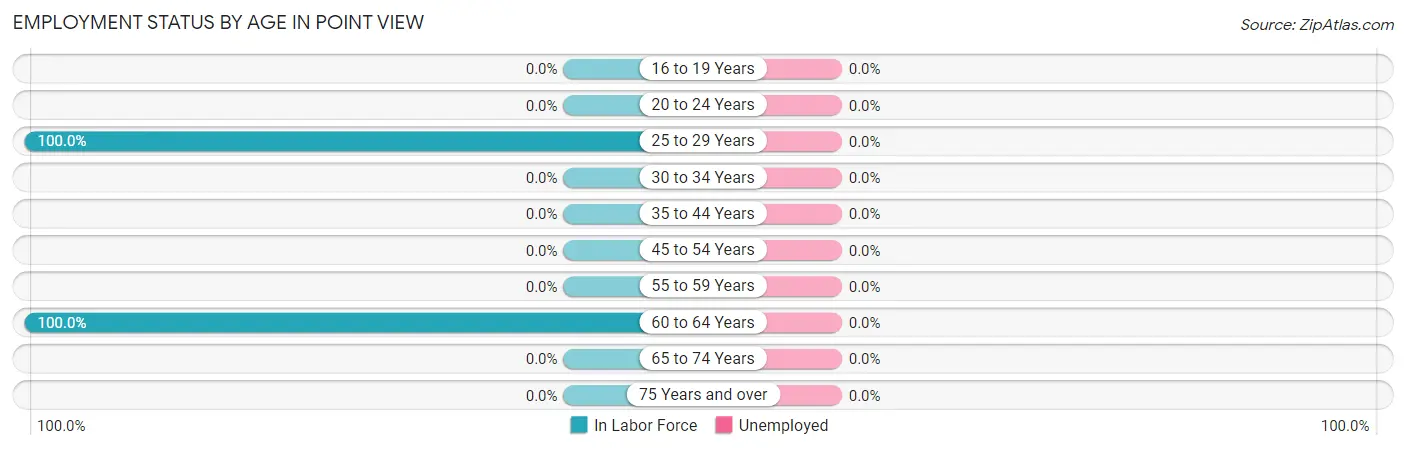Employment Status by Age in Point View