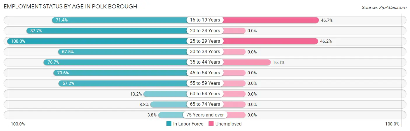 Employment Status by Age in Polk borough