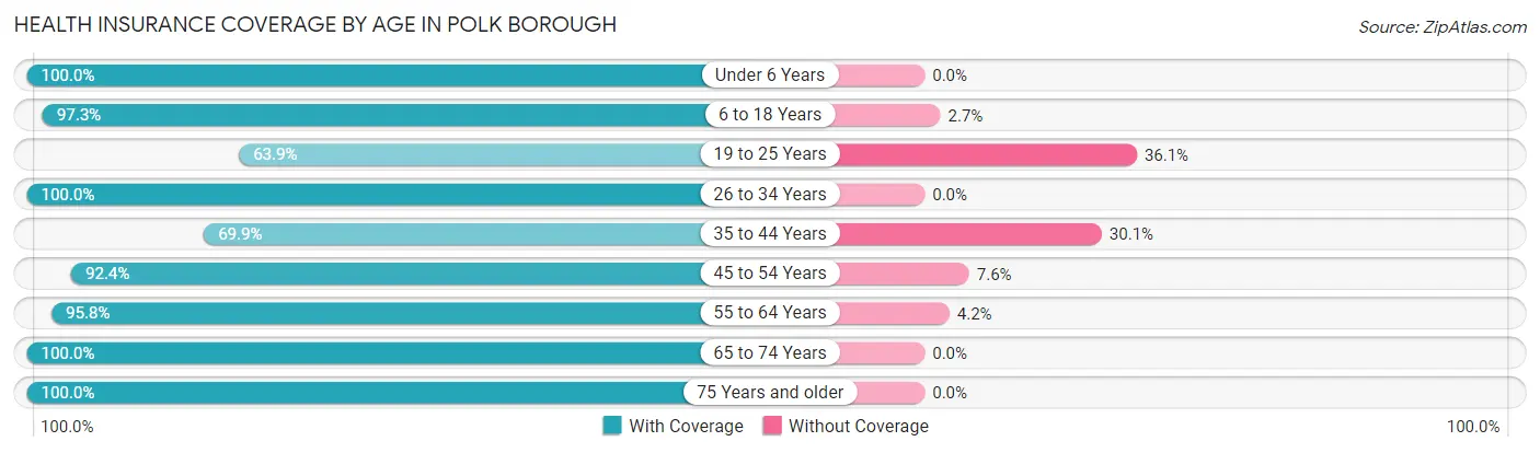 Health Insurance Coverage by Age in Polk borough
