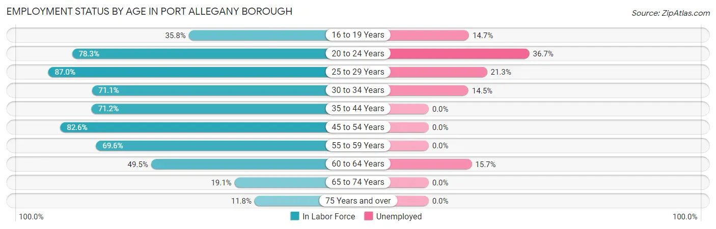 Employment Status by Age in Port Allegany borough