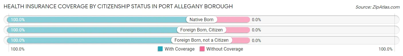 Health Insurance Coverage by Citizenship Status in Port Allegany borough