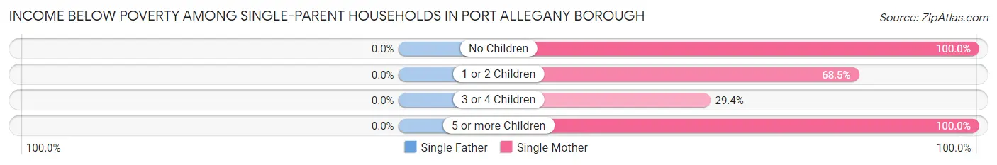 Income Below Poverty Among Single-Parent Households in Port Allegany borough
