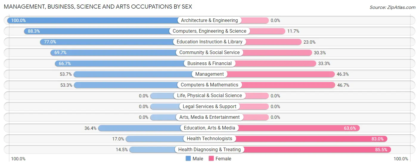 Management, Business, Science and Arts Occupations by Sex in Port Allegany borough
