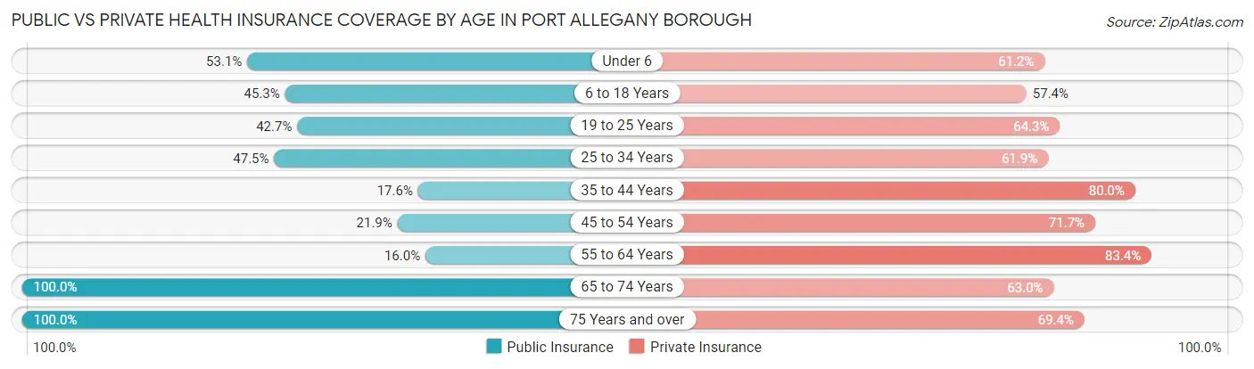 Public vs Private Health Insurance Coverage by Age in Port Allegany borough