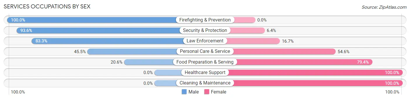 Services Occupations by Sex in Port Allegany borough
