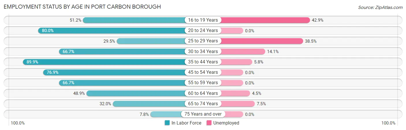 Employment Status by Age in Port Carbon borough