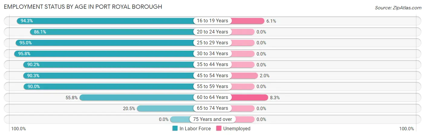 Employment Status by Age in Port Royal borough