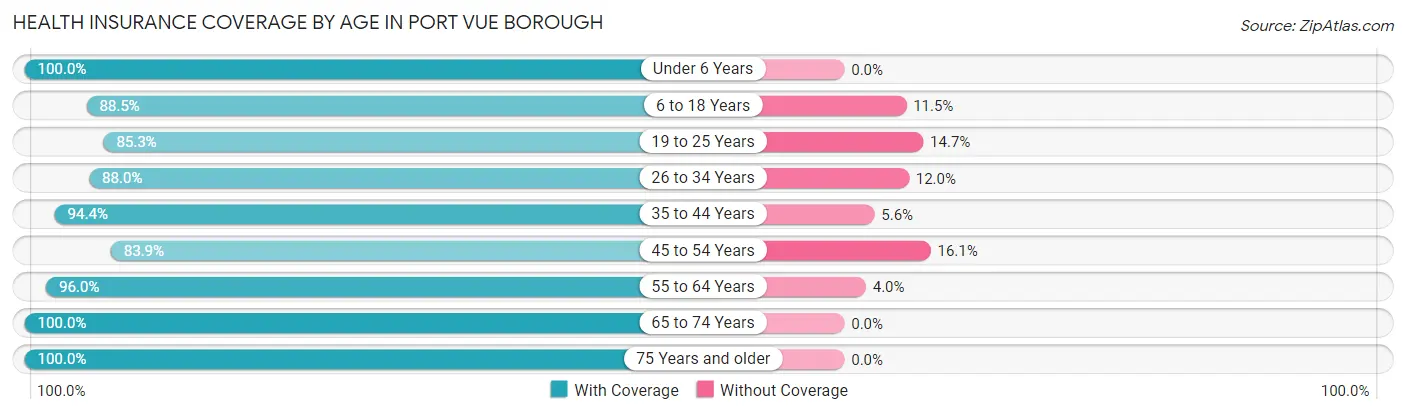 Health Insurance Coverage by Age in Port Vue borough