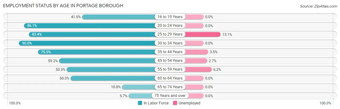 Employment Status by Age in Portage borough