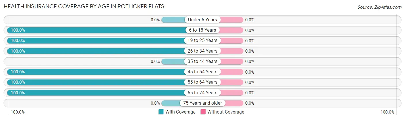 Health Insurance Coverage by Age in Potlicker Flats