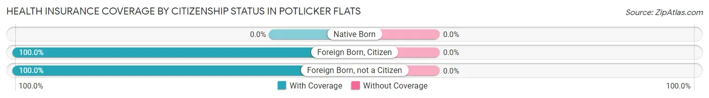 Health Insurance Coverage by Citizenship Status in Potlicker Flats