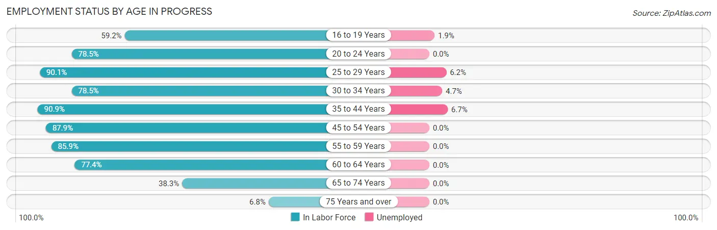 Employment Status by Age in Progress
