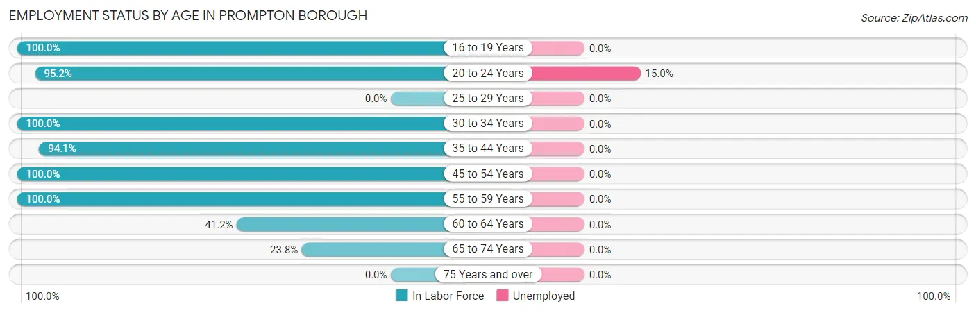 Employment Status by Age in Prompton borough