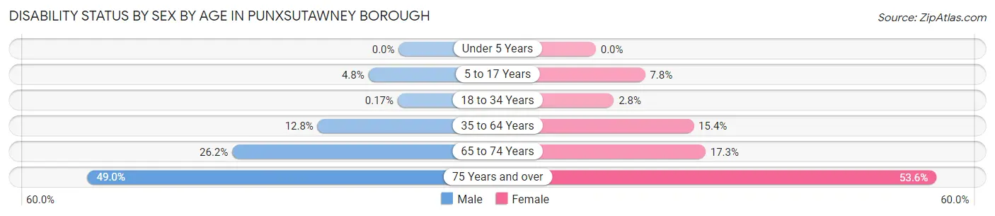 Disability Status by Sex by Age in Punxsutawney borough
