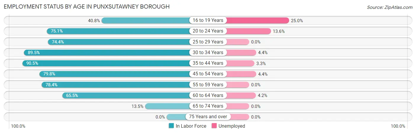 Employment Status by Age in Punxsutawney borough